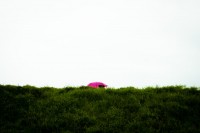Pink Umbrella, San Francisco