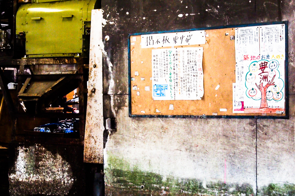 Tsukiji Fish Market, Tokyo