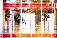 California Academy of Sciences, San Francisco