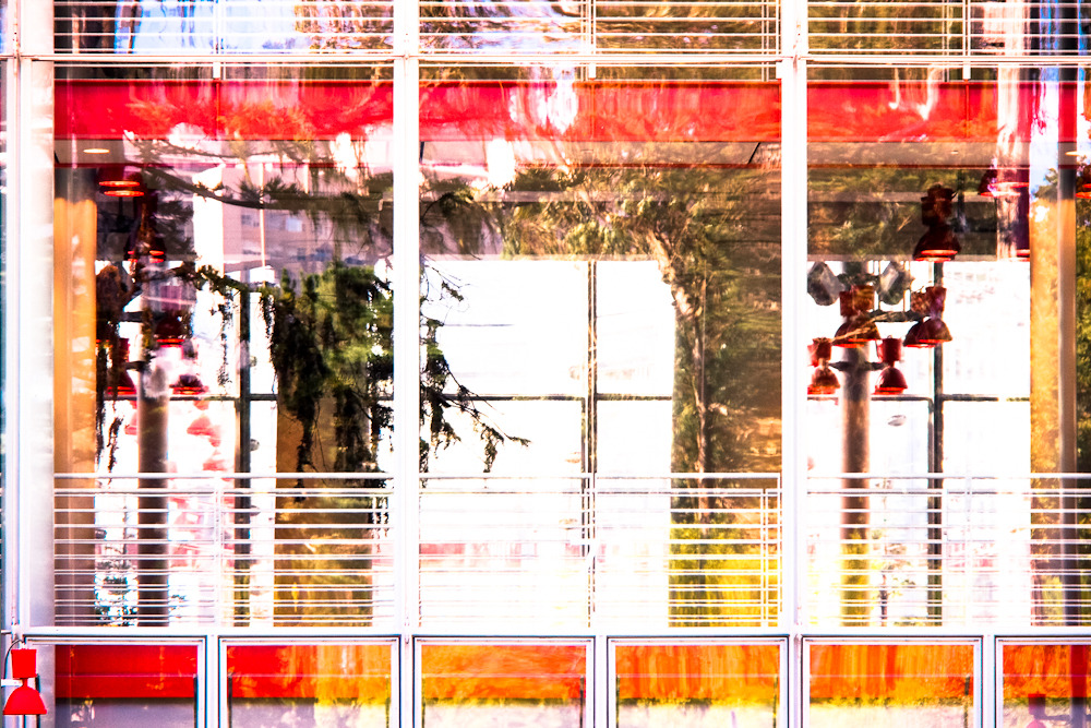 California Academy of Sciences, San Francisco