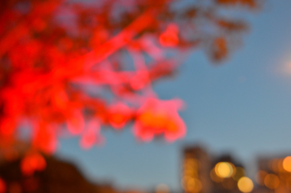 Red Light, San Francisco