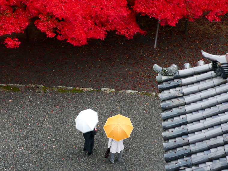 CHEMIN DE LA PHILOSOPHIE, KYOTO