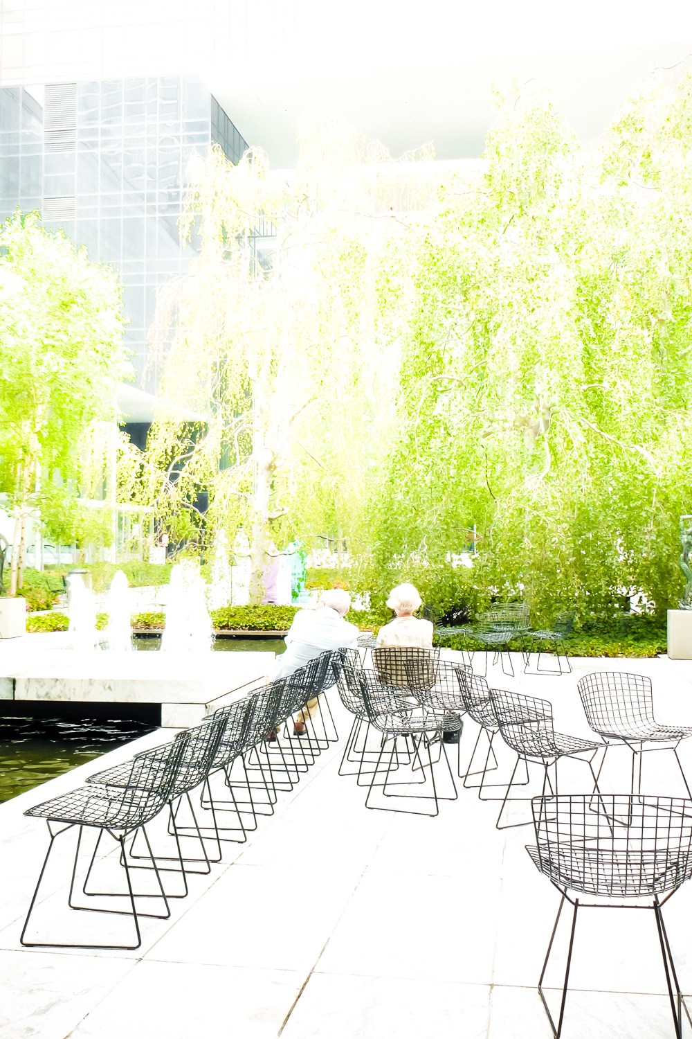 MoMA garden, NYC by Carine