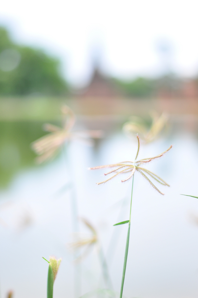 SUKHOTHAI, THAILANDE by Véronique
