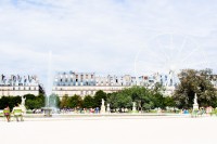 TUILERIES, PARIS by Carine
