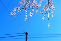 ST-REMY de PROVENCE by Véronique