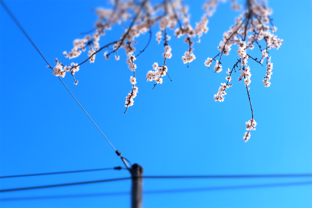 ST-REMY de PROVENCE by Véronique