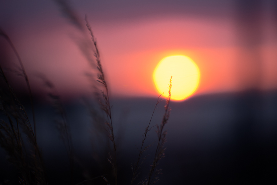 SUNSET, NYC by Carine