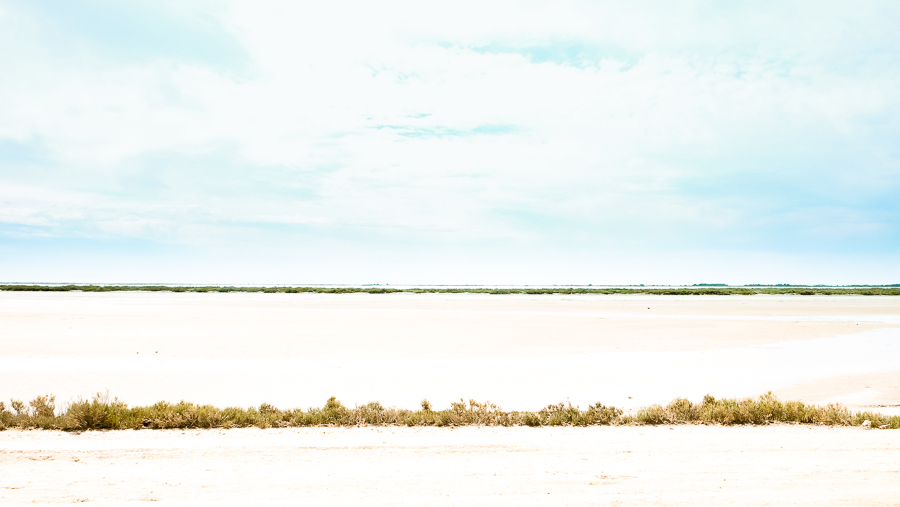 ETANG DE VACARES, CAMARGUE by Carine