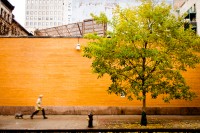 FALL NYC by Carine