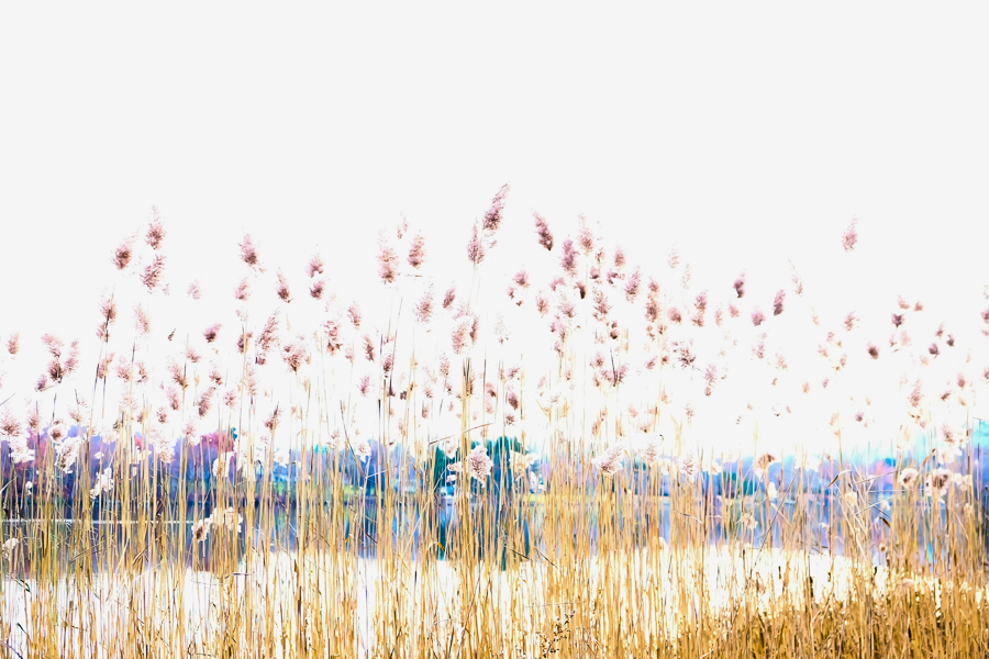 LAKE WARAMAUG by Carine