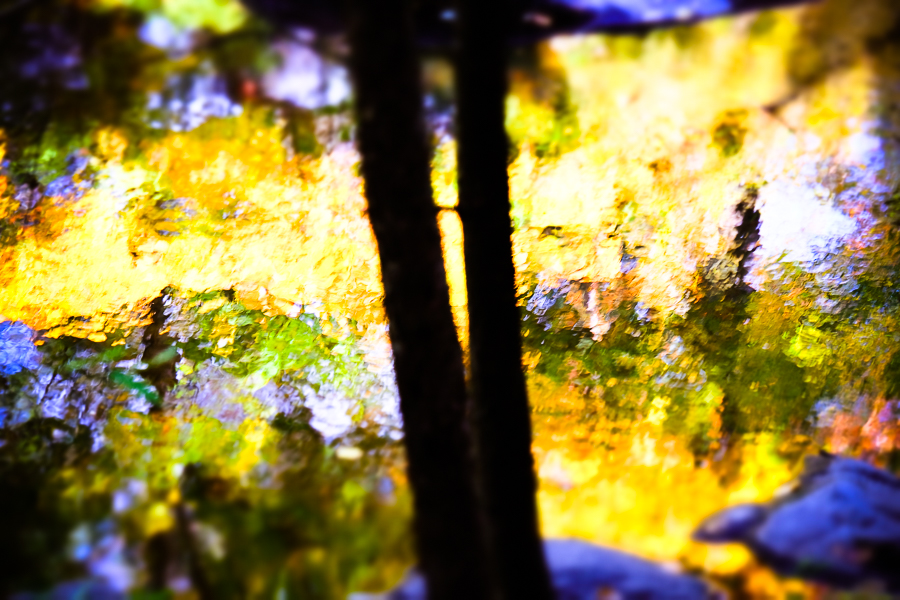 FALL, CONNECTICUT by Carine