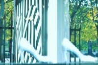 PALAIS ROYAL, PARIS by Véronique