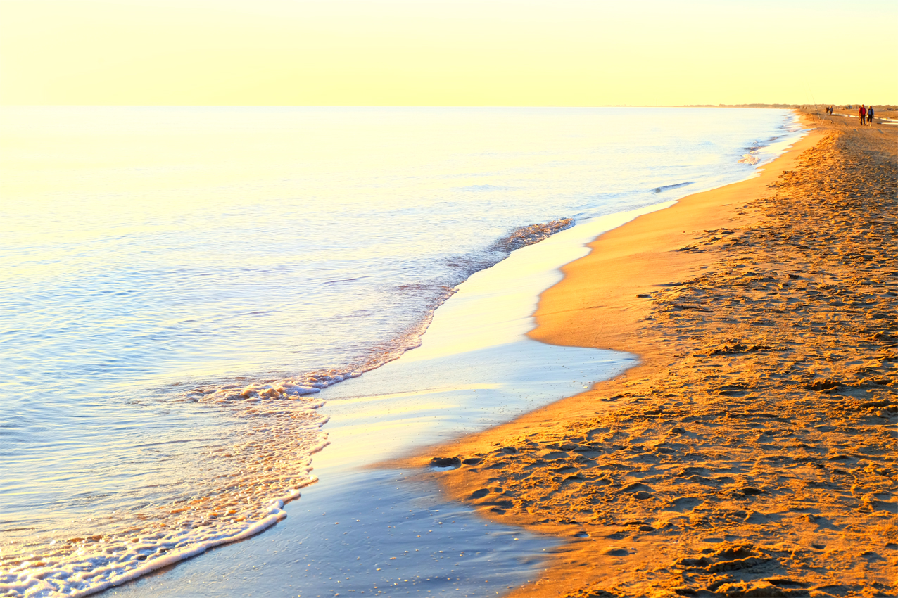 PLAGE DE PIEMANSON, CAMARGUE by Véronique