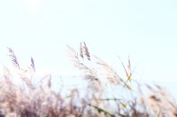 LUMINEUX ANNIVERSAIRE by Véronique