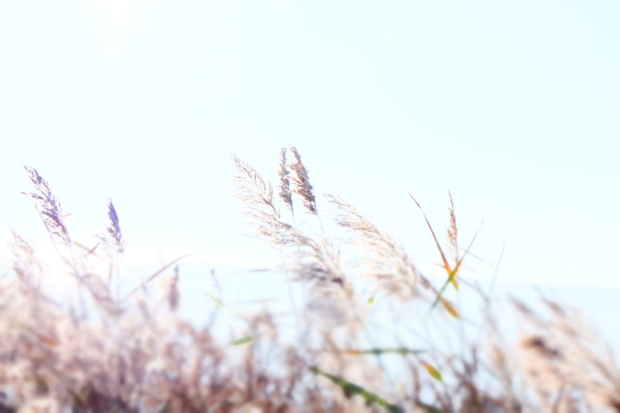 LUMINEUX ANNIVERSAIRE by Véronique