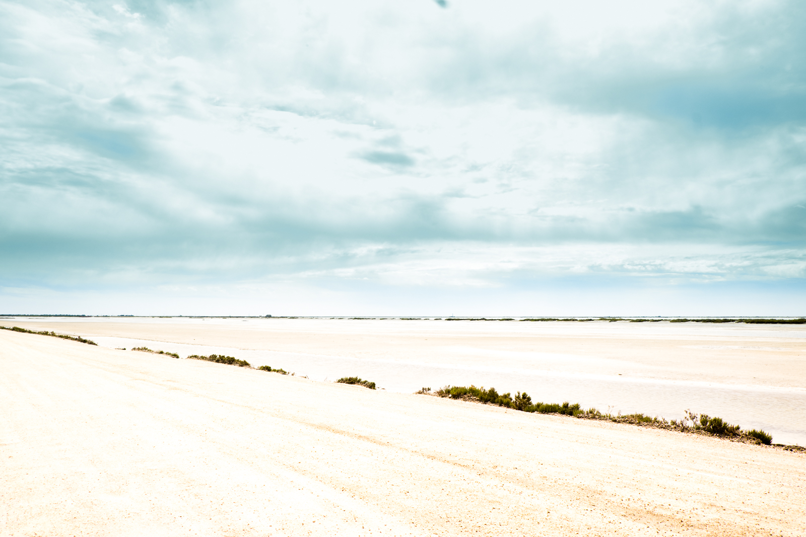 BEAUDUC, CAMARGUE by Carine