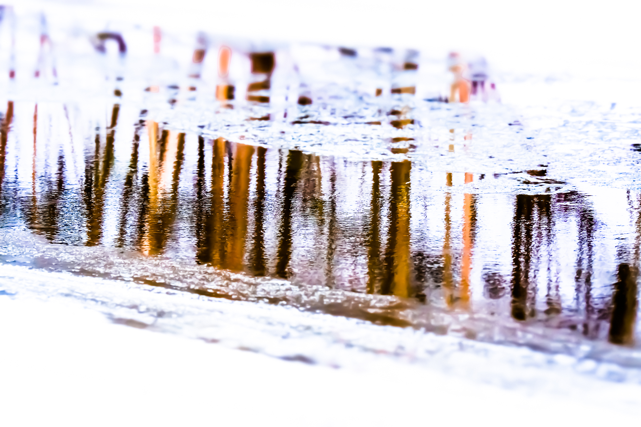 ABSTRACTION by Carine