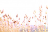 WINTER, CONNECTICUT by Carine