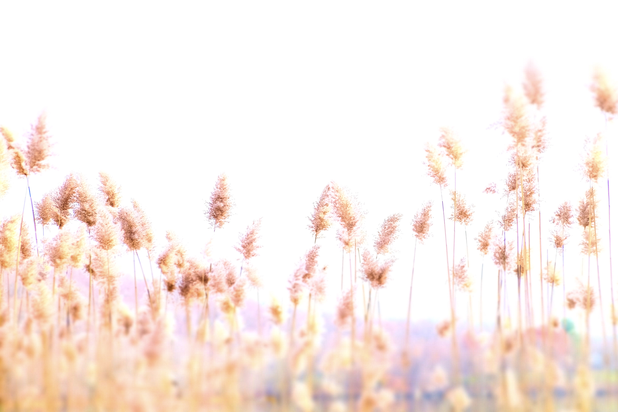 WINTER, CONNECTICUT by Carine